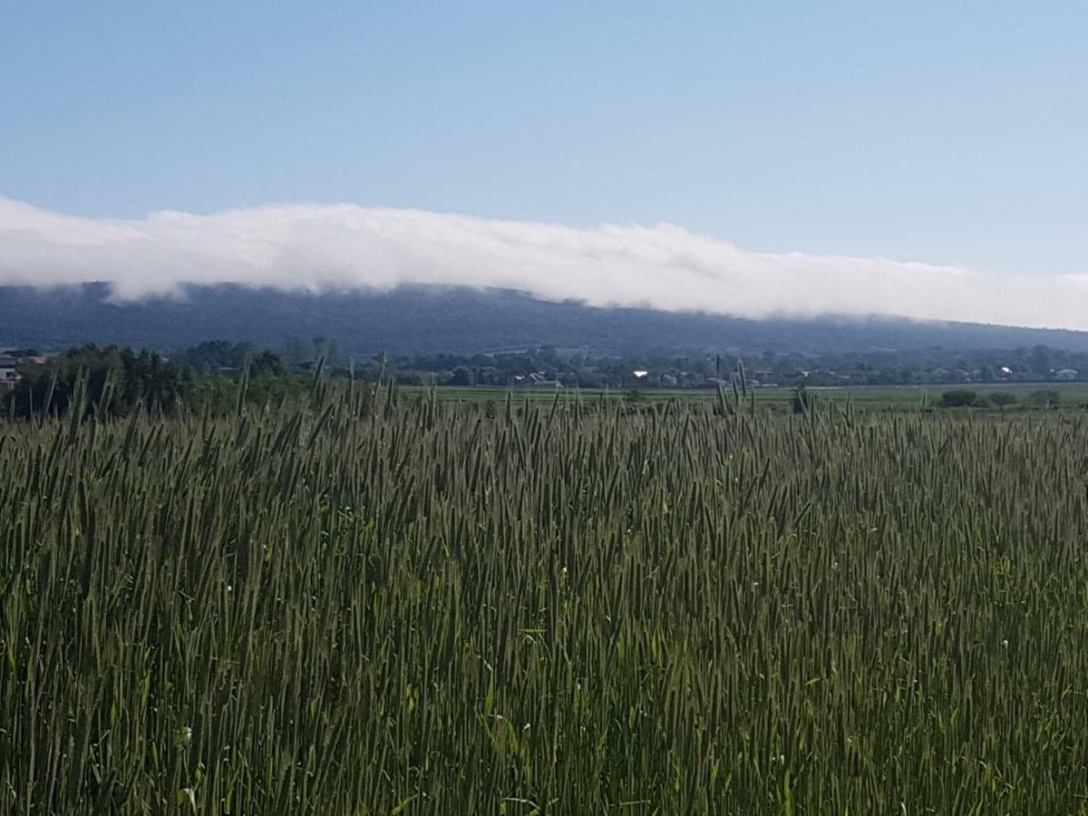 Villa Mendokowe Ranczo Gorno-Parcele Esterno foto